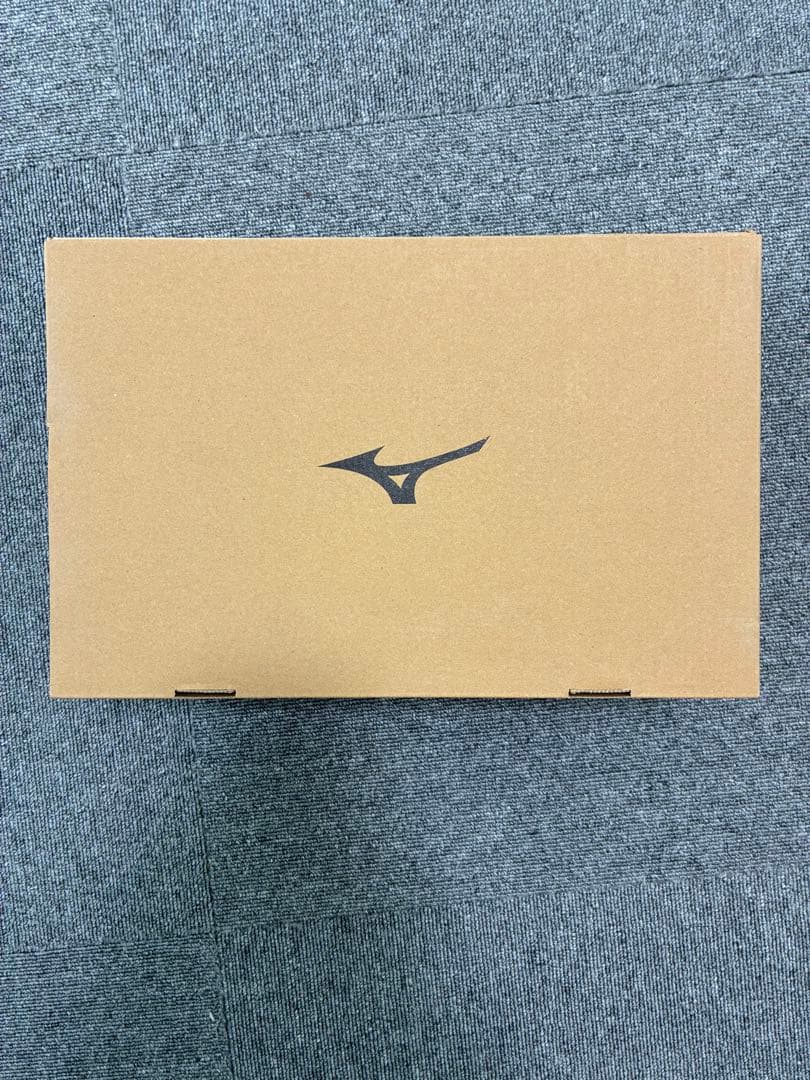 ミズノ安全靴 オールマイティ VH51L BOA 通気性 F1GA2306