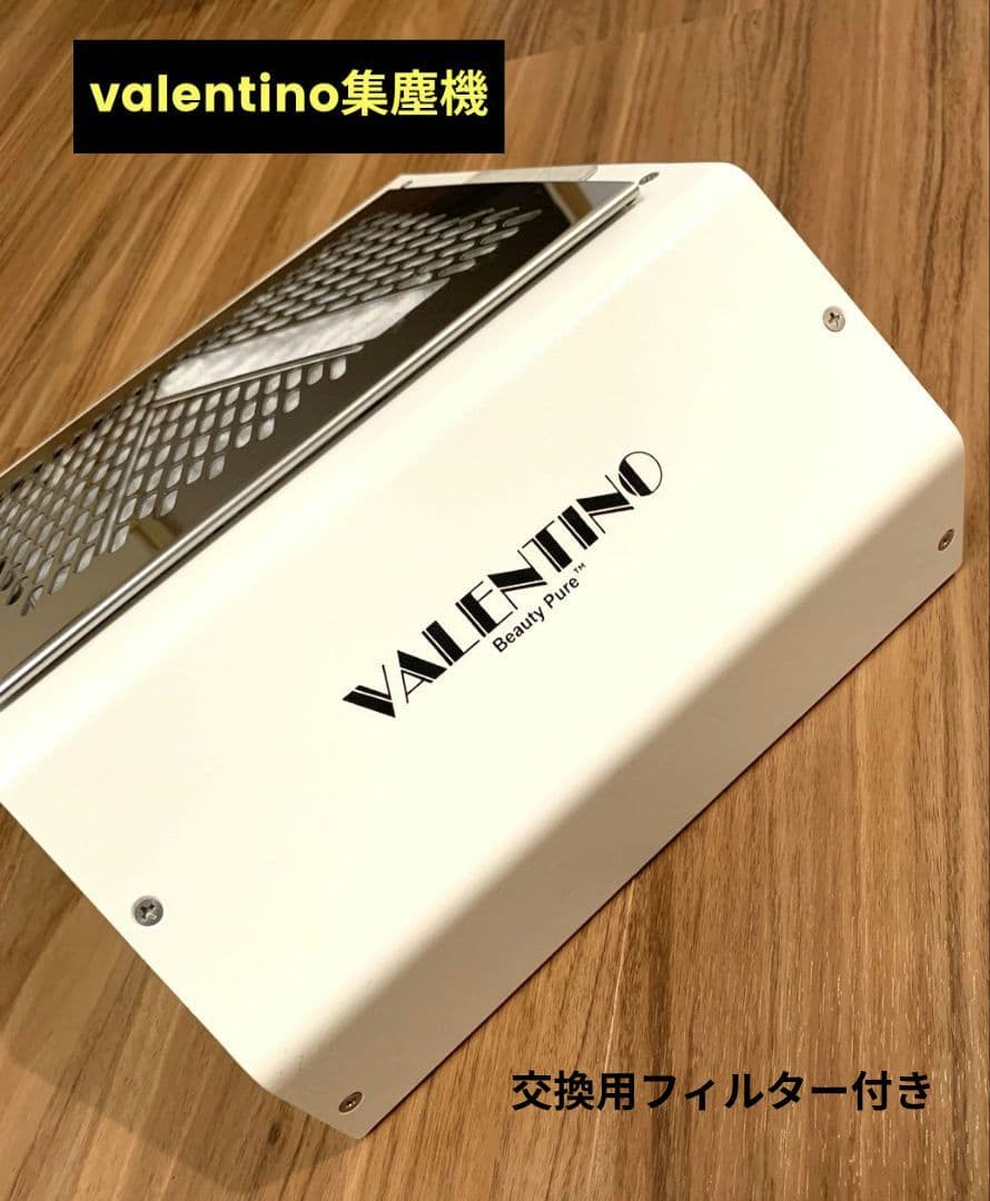 ✩美品✩VALENTINO ヴァレンチノ集塵機　交換用フィルター付き