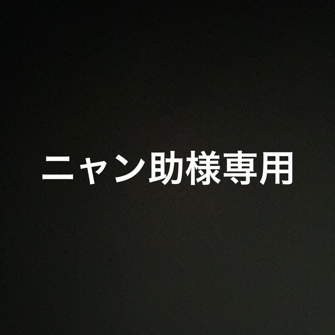 泥除けオーダー8枚　赤/白