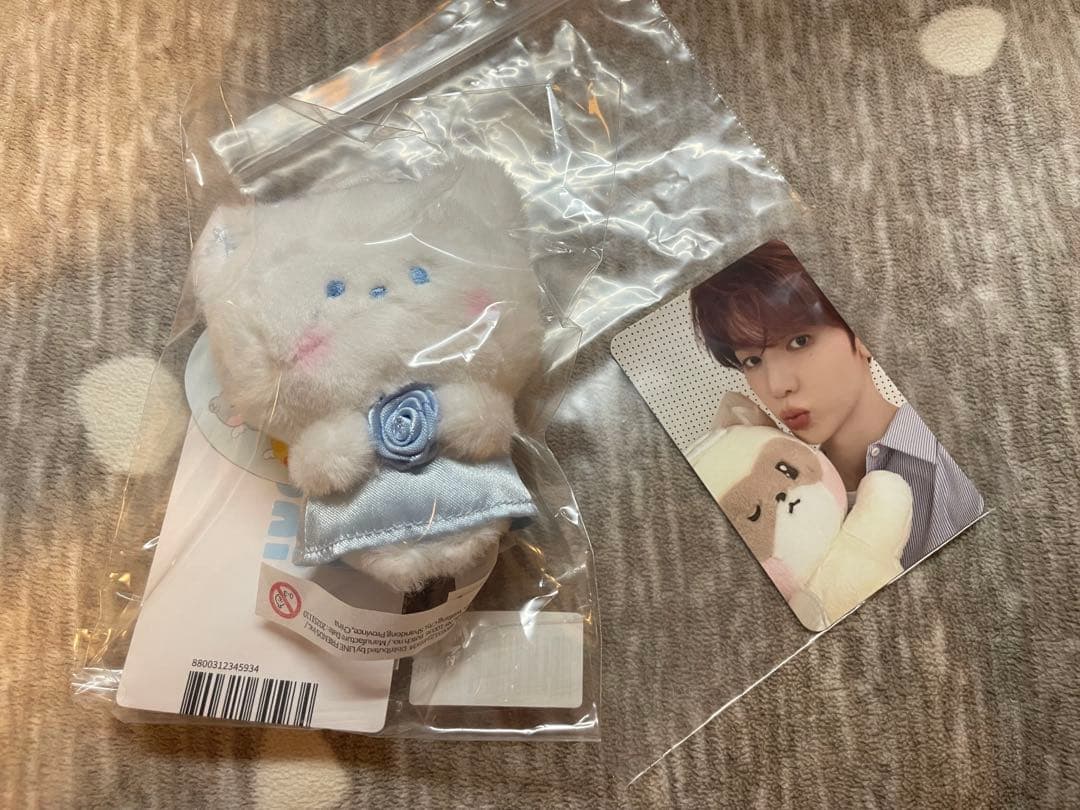 ZB1 ゼベワン エンジェルゼロニ 特典トレカ ハオ ハニニ - メルカリ