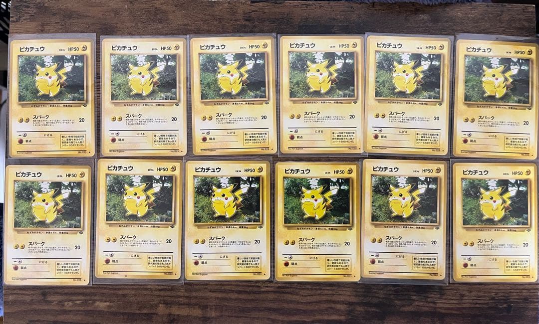 ジャングル　ピカチュウ　旧裏　１２枚