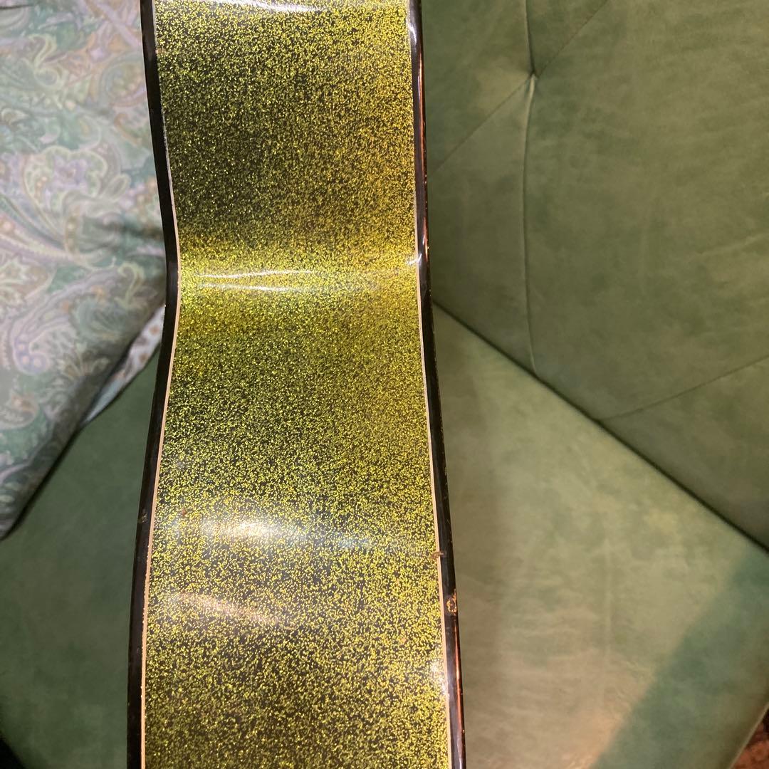 堀田楽器製作所 アコースティックギター グリーン 稀少