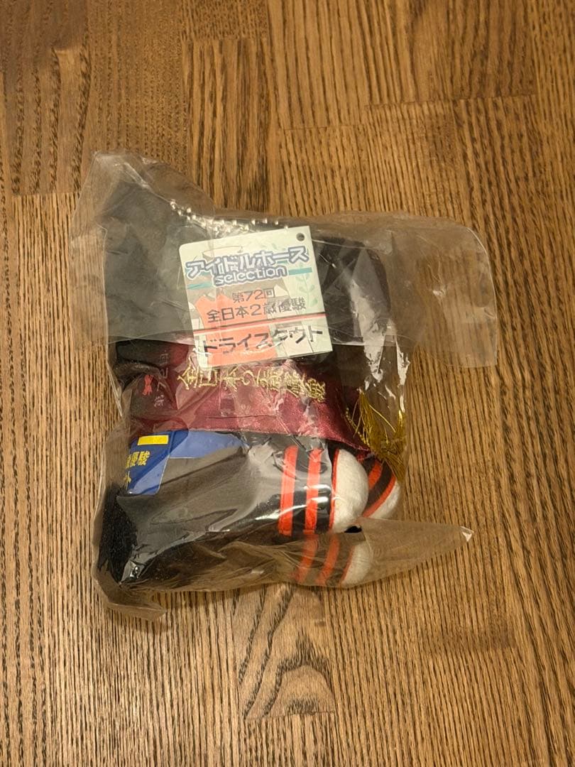 ドライスタウト　アイドルホース　全日本2歳優駿