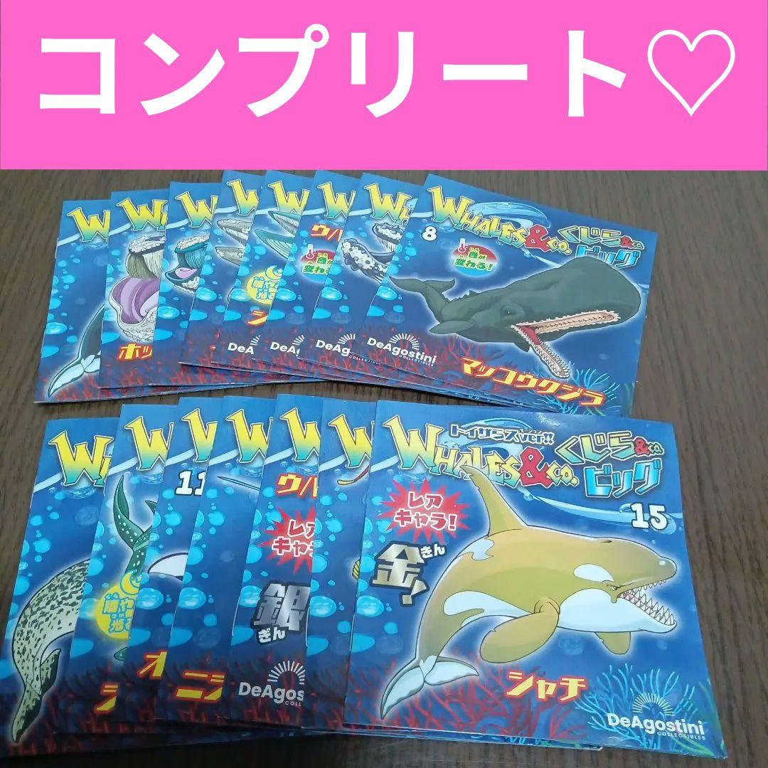 クジラアンドコー コンプリート Amazon.co.jp: くじら&CO.ビッグ コンプリートセット 全16種セット