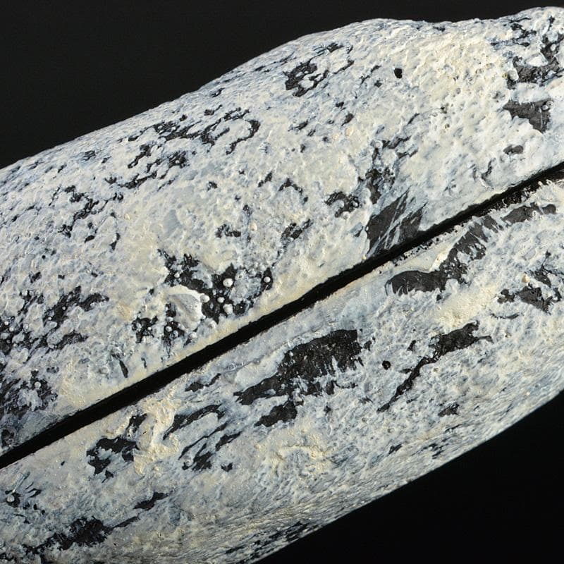 茶道具 乾漆 干柿 香合 時代箱 V 6223 - メルカリ