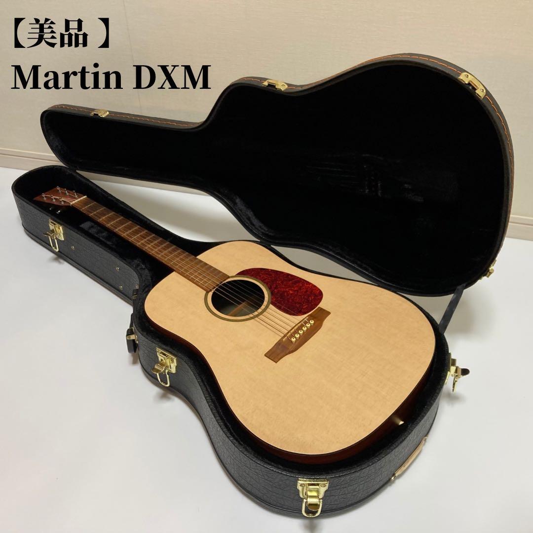 アコースティックギター Martin & Co. DXM Dreadnought
