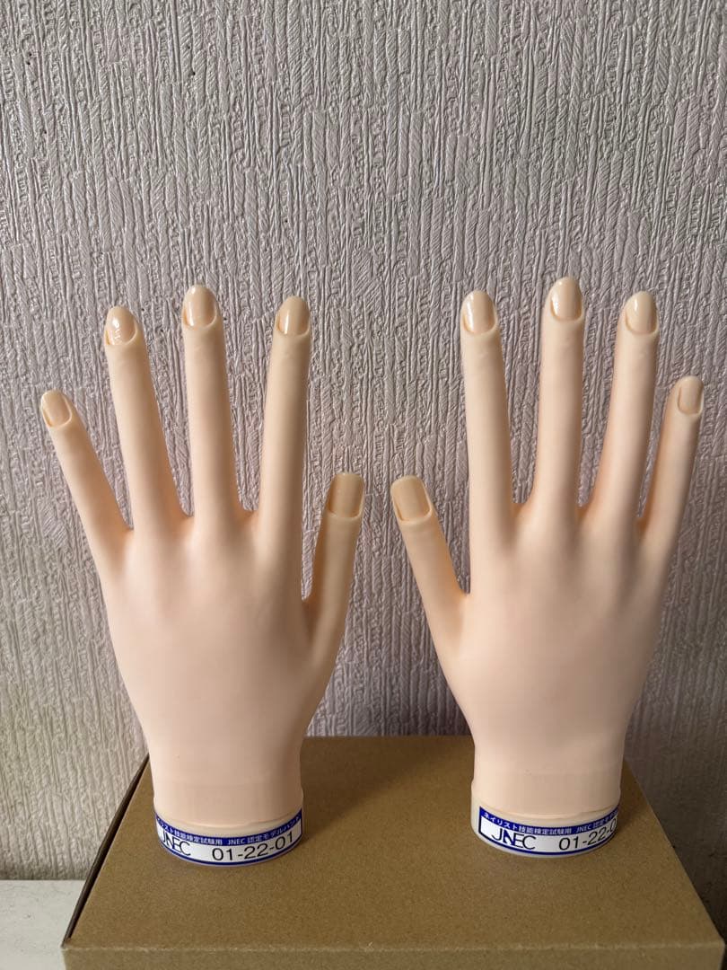 mmm　JNEC認定モデルハンド JNA | STモデルハンド 左手 | ライフビューティーネイルプロショップ