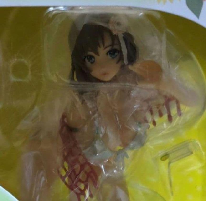 【未開封】一条真奈美