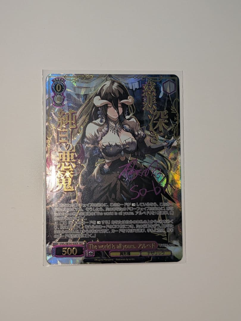 The world is all yours.アルベド　SEC