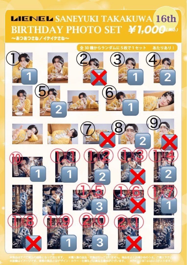 SANAYUKI TAKAKUWA 16th 生写真 バラ売り 高崎公園内シンフォニーガーデンに咲くバラが見頃を迎えています