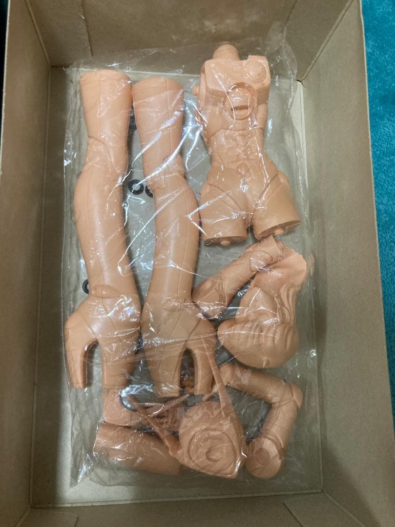 未組立 バブルガムクライシス 1/6 ガレージキット PRISS C-7900 - メルカリ