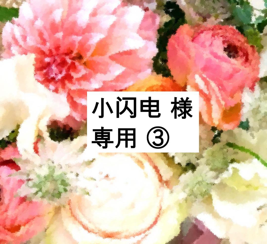 小闪电 ③ 2022年 最新版 フルセット 未開封ディスク55枚 未使用