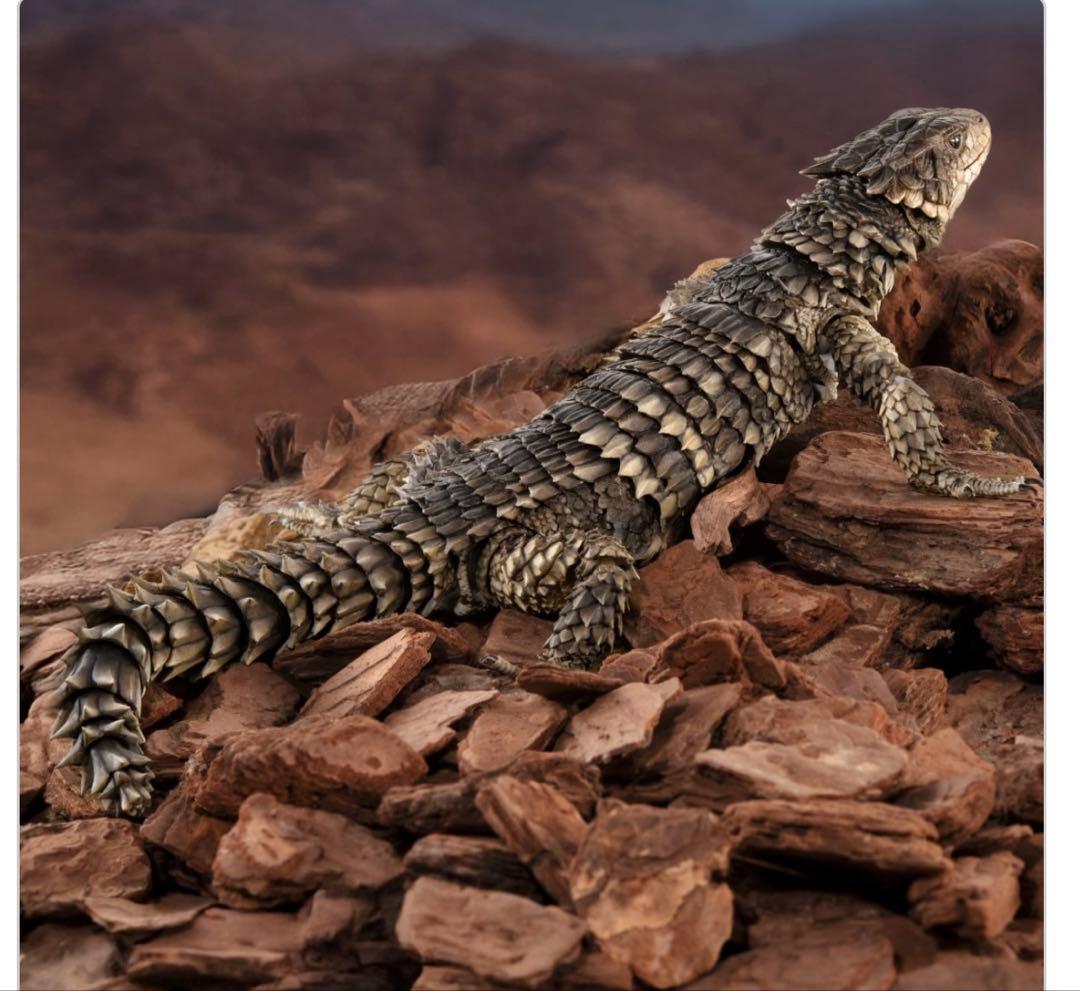 いきもの大図鑑アルティメット オオヨロイトカゲ 新品未開封 - メルカリ