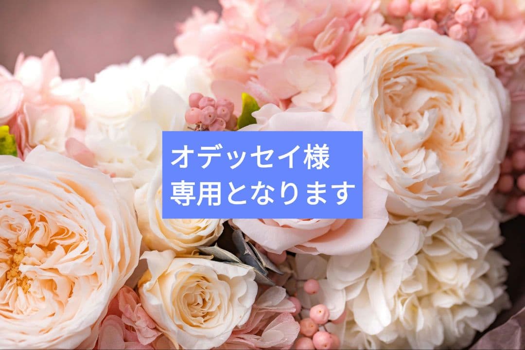 サイドローダートレカ 横入れ　800枚