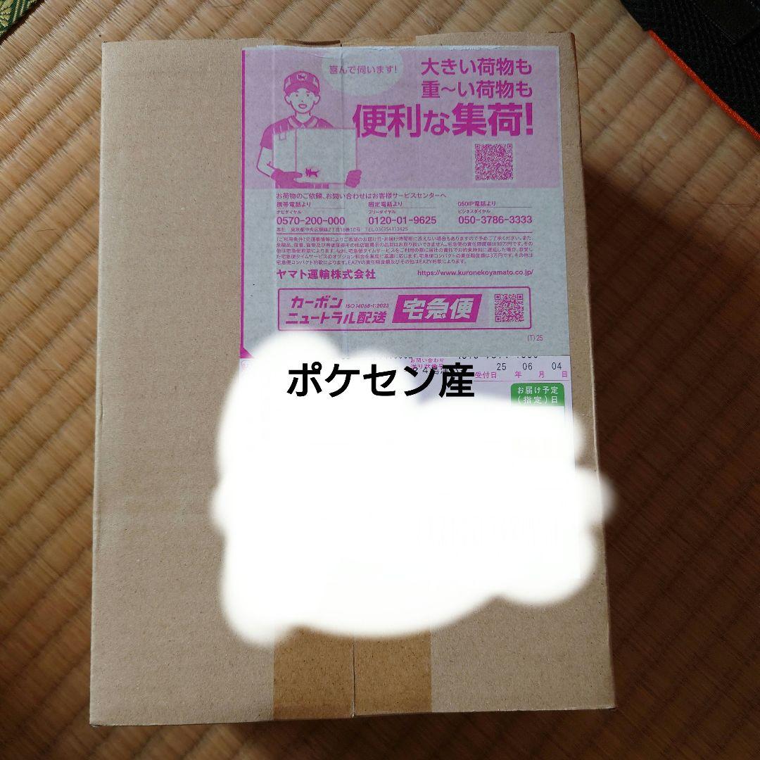 ポケモンカード　ポケセン産ブラックボルトデラックスシュリンク付き ポケモンカードゲーム ブラックボルト BOX スカーレット&バイオレット