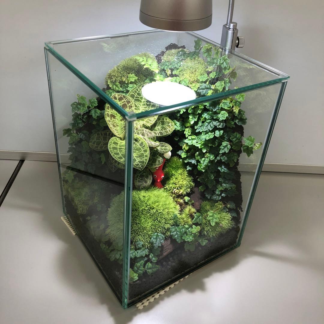 パルダリウム水槽セット/完成品/テラリウム/苔リウム/苔テラリウム