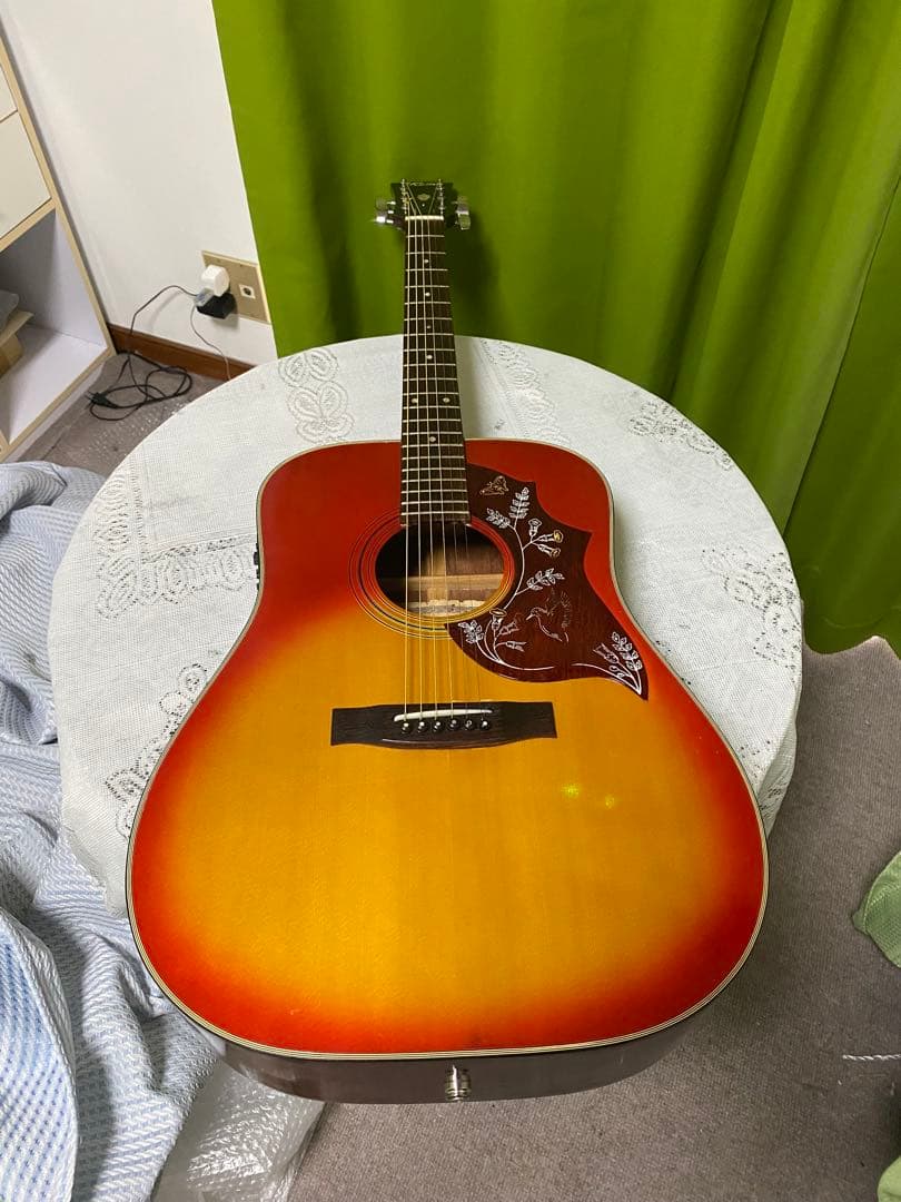 新春特価カントリーしようぜ！ハミングバードHottaエレアコ音出し良好