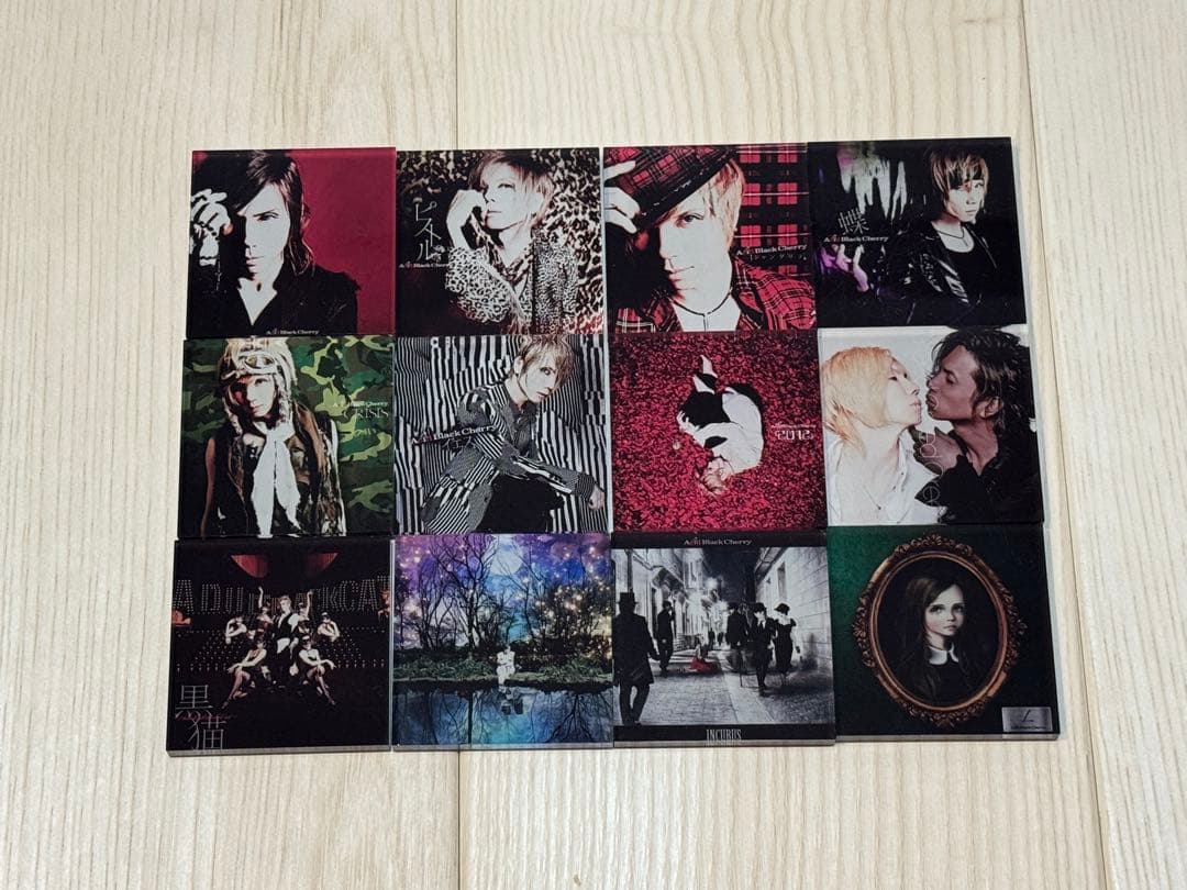 AcidBlackCherry アクリルマグネット Acid Black Cherry アクリルマグネット - メルカリ