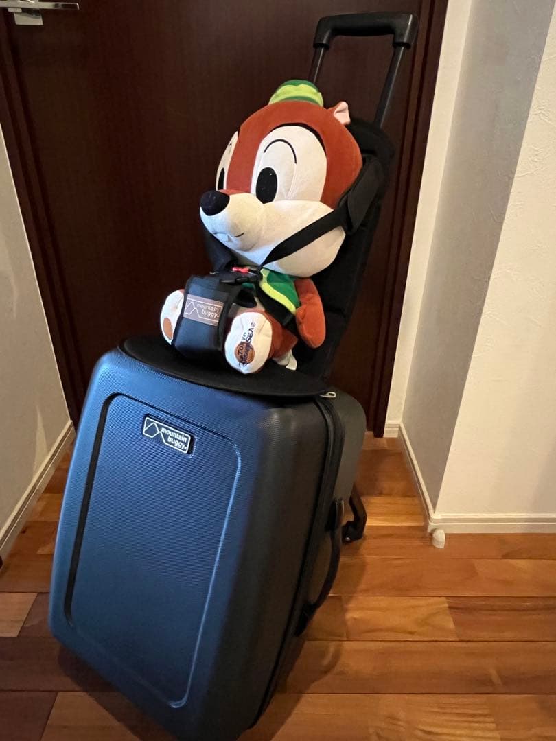 mountain buggy bagrider バッグライダー　子乗せ　キャリー