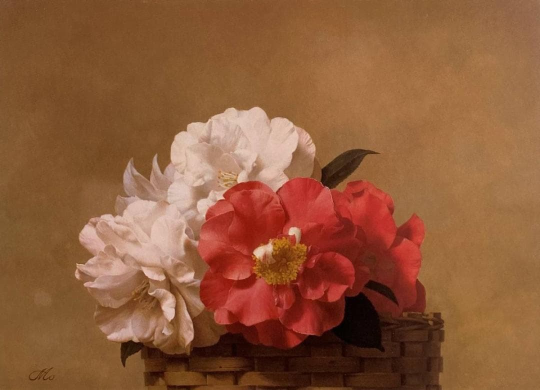 森本草介、【椿】、希少な画集より、新品額装付、マット額装付き