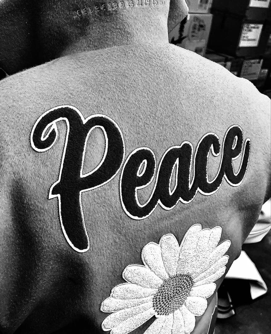 ピーチ子 CATEGORY Peach Aviation | ひこーきちゃん