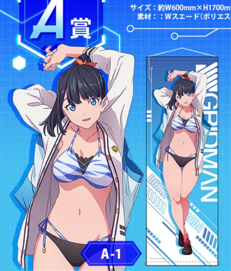 SSSS.GRIDMAN グリッドマン　くじメイト　ロングタペストリー　宝多六花 SSSS.GRIDMAN オンラインくじ A-1賞 ロングタペストリー 宝多六花 | K