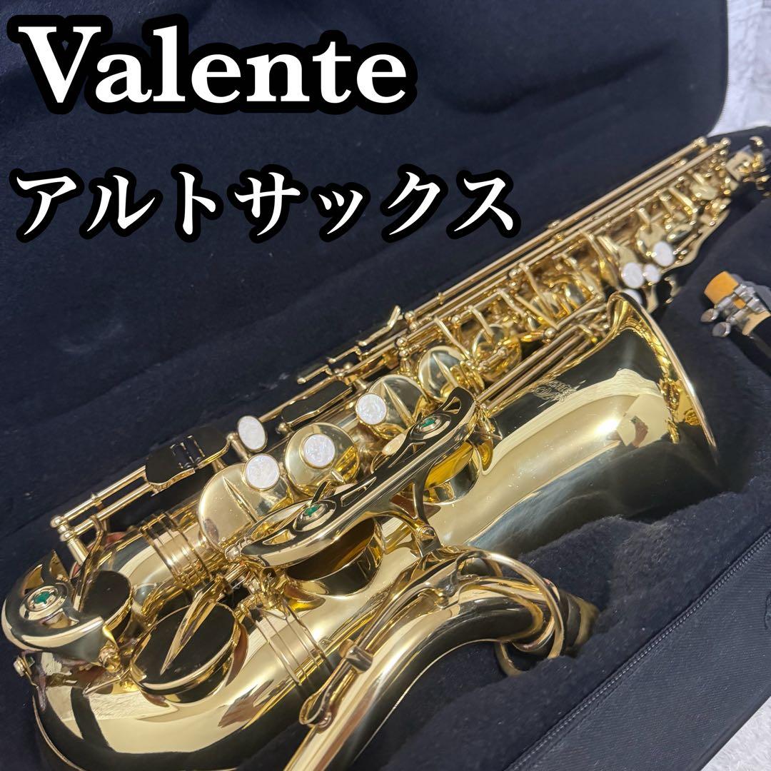 Valente アルトサックス　初心者オススメ　動作確認済み　管楽器　ケース付き