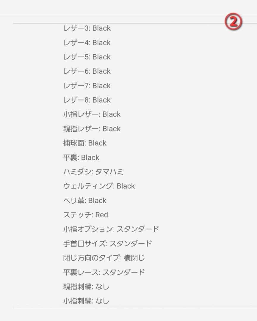 刀】Nativeシリーズ カスタムグラブ 左投げ投手用 - メルカリ