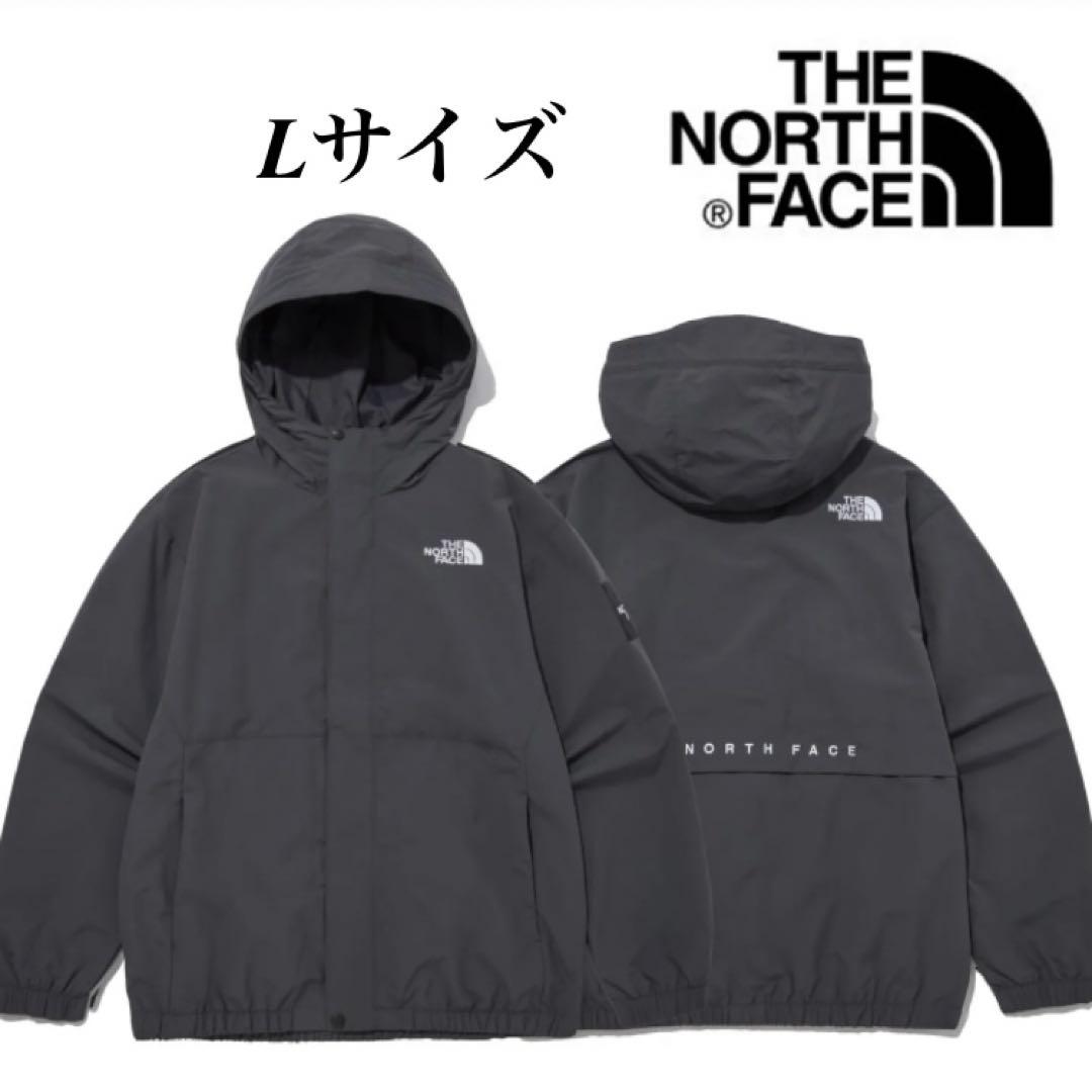 新品未使用 韓国正規品 ノースフェイス VILAN EX JACKET Lサイズ
