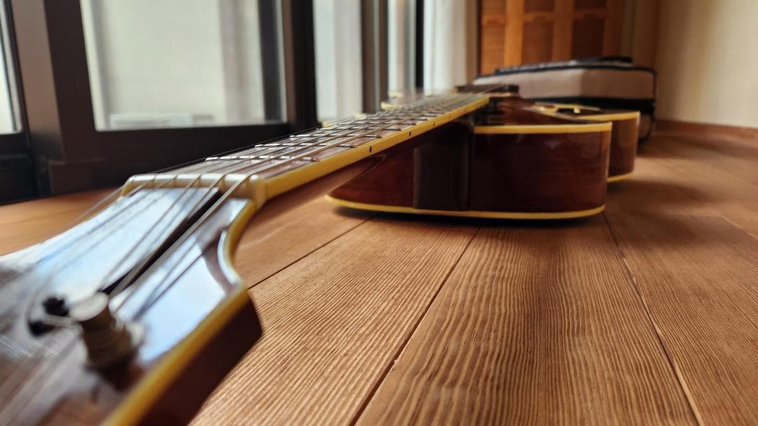 EASTMAN（イーストマン）AR-605E 中古 - メルカリ