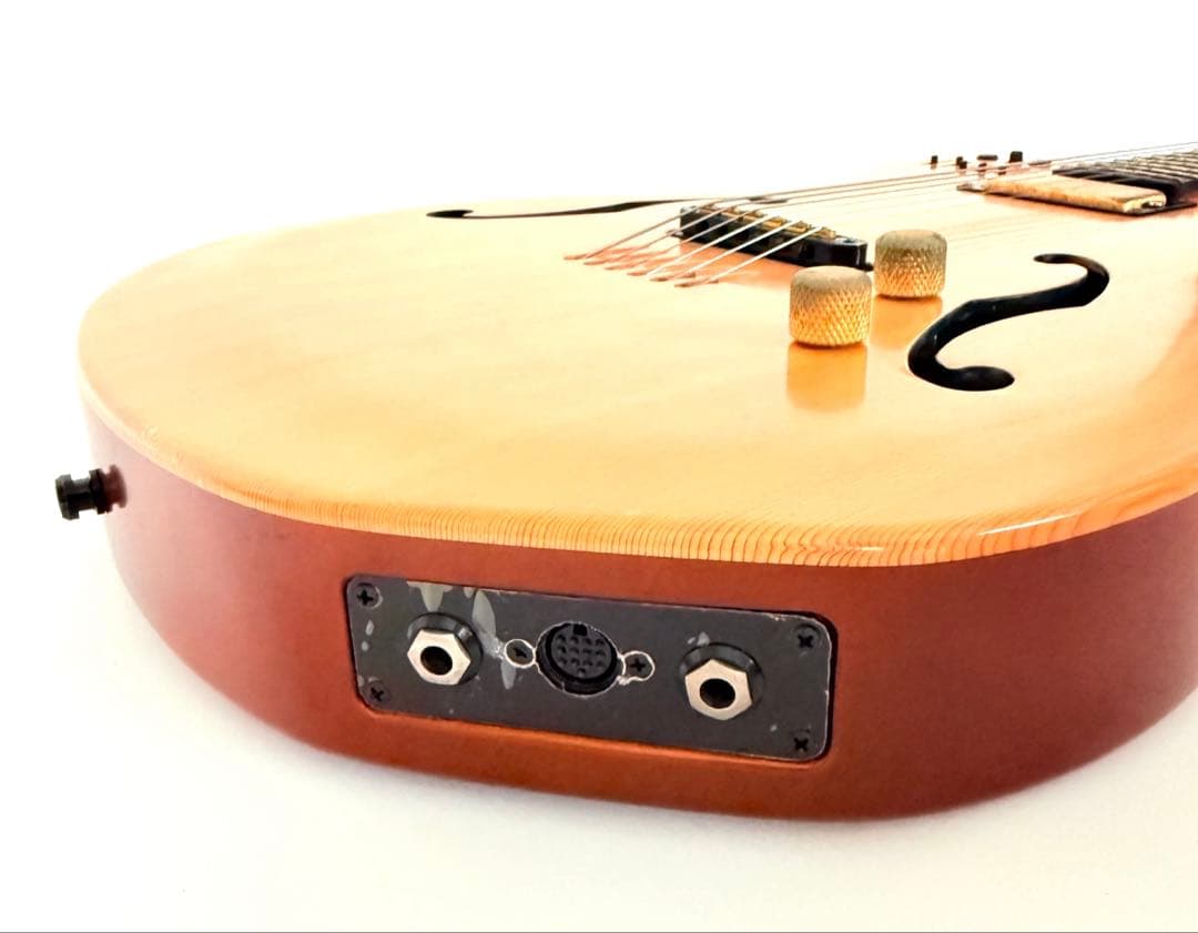 希少】GODIN MULTIAC JAZZ SA セミアコースティックギター - メルカリ