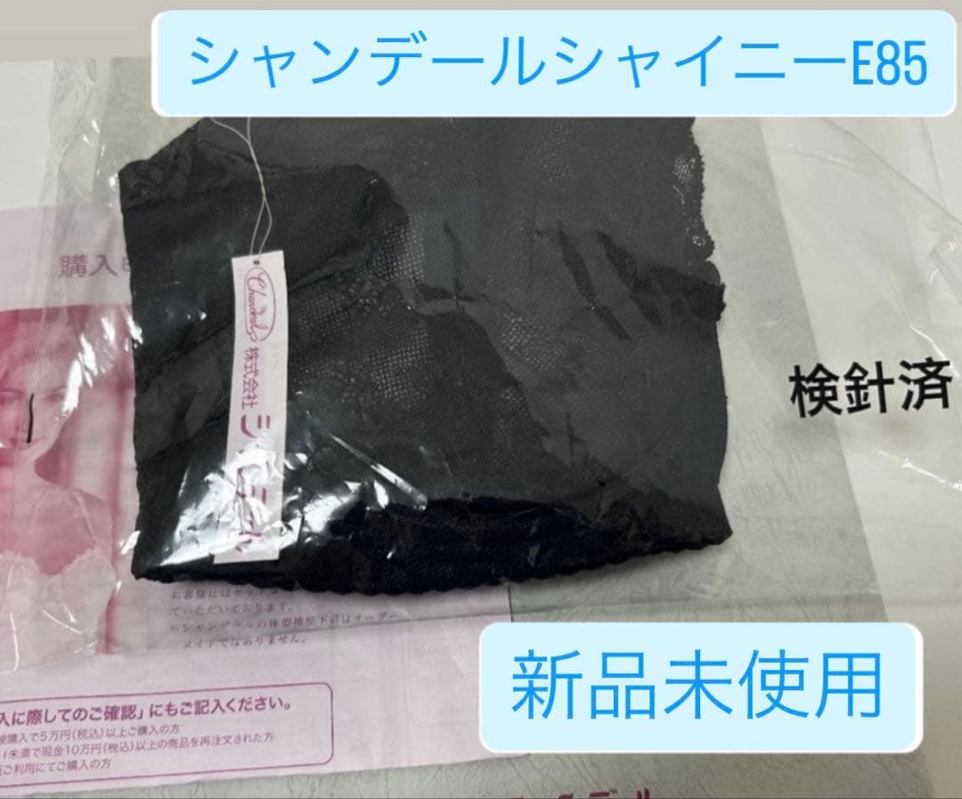 シャンデール　ブラジャーE85