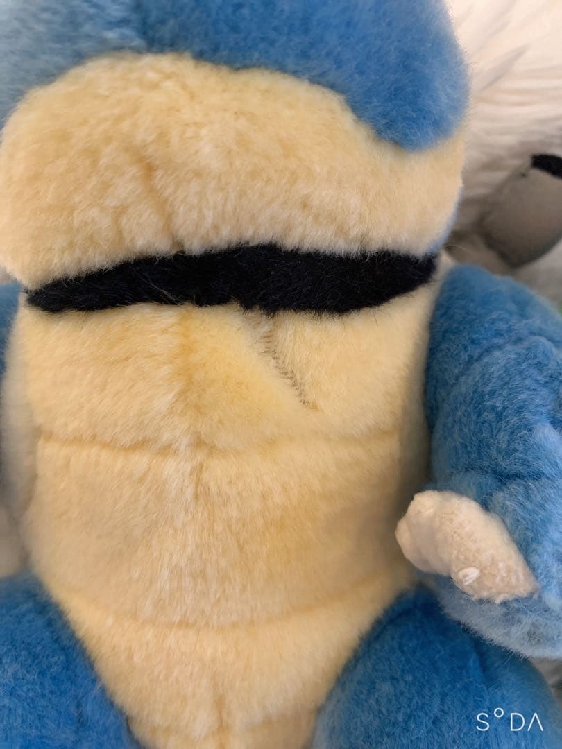 最安値！TOMYぬいぐるみリザードン フシギバナ カメックス - メルカリ