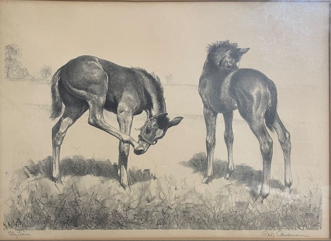 ヴィンテージ　リトグラフ　仔馬