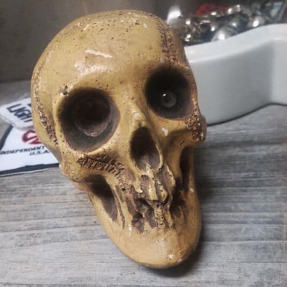 randotti ビンテージ　スカル　置物　ディズニー　髑髏　骸骨　義眼 The Randotti Skull: A Staple of Disneyland Souvenirs for Several