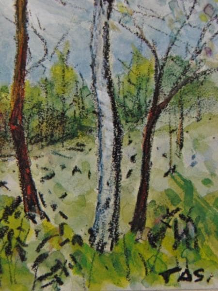 田杉 競、萌えいずる頃（妙高山）、希少な額装用画集より、美品、新品額装付