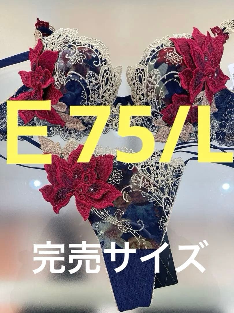 サルート　店舗限定⭐️９０グループ⭐️KO⭐️E75/Ｌ⭐️上下2点⭐️新品タグ付き❗️