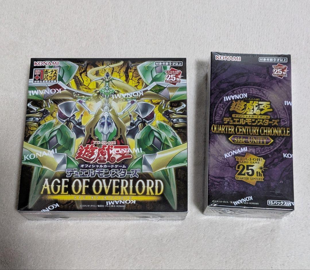 エイジオブオーバーロード　クォーターセンチュリークロニクル Side：UNITY