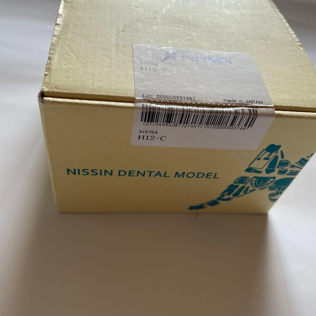NISSINスタディモデルゴム枠・永久歯顎用 丸型 [H12-C] - メルカリ