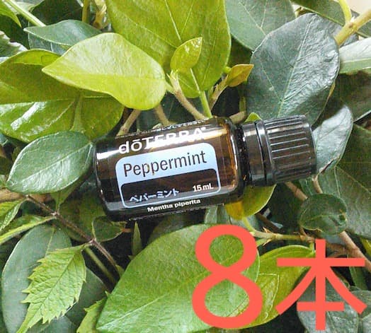 【８本】新品未開 ドテラ doTERRA ペパーミント15ml 28年代 CP