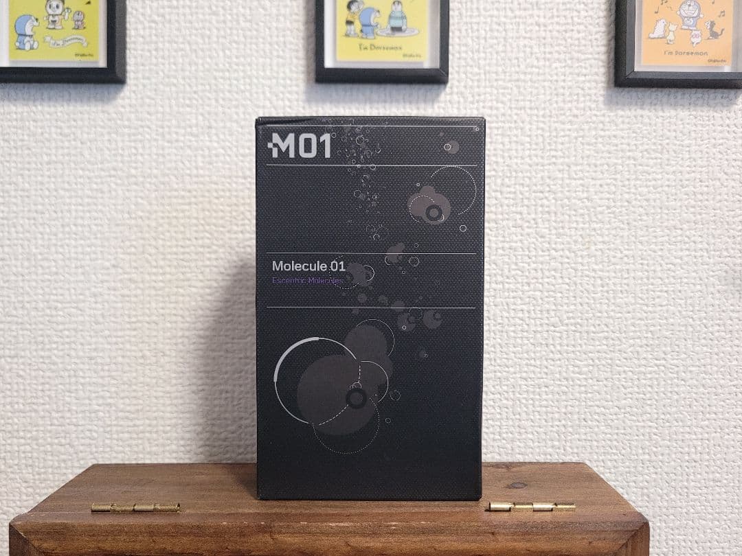 Molecule 01 モレキュール01EDT　100ml