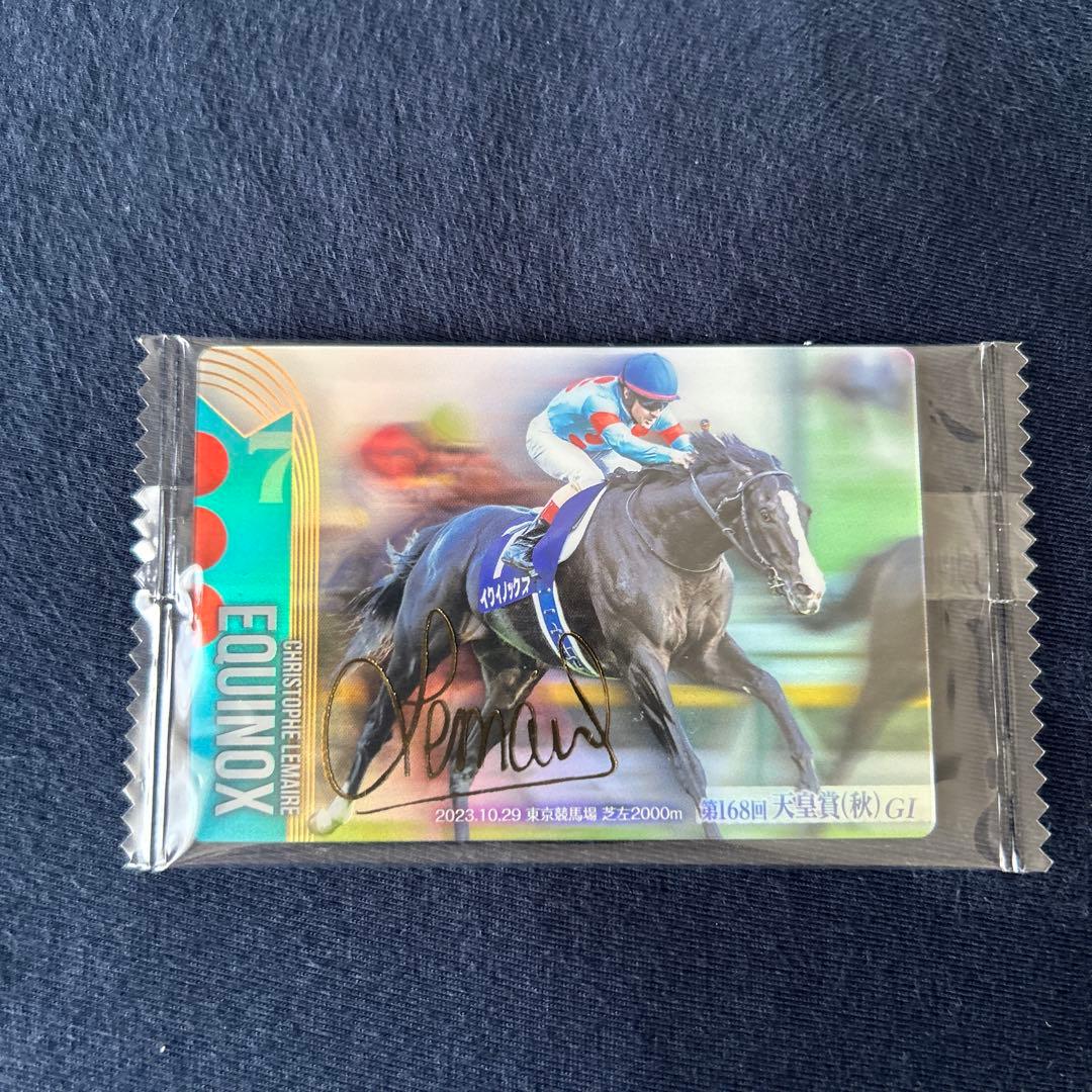 サラブレッドホースコレクション ウエハースカード サイン入り イク