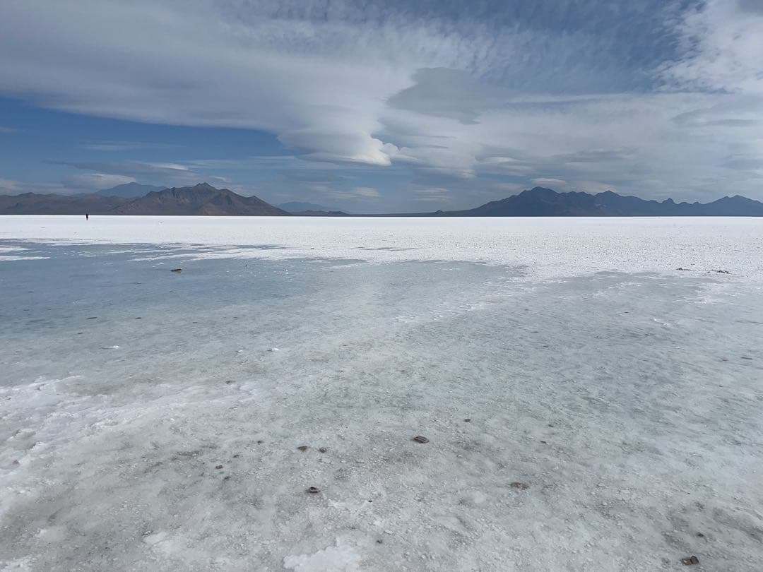 JANJAN　ニュースキン製品