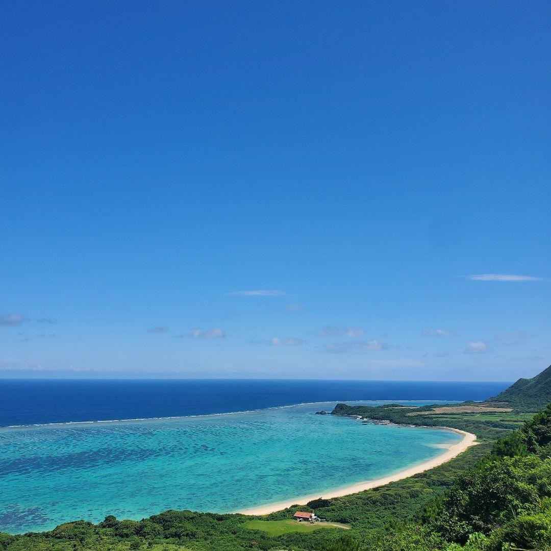 アカシア Acacia ソウシジュ 相思樹 根皮100％ 50g - メルカリ