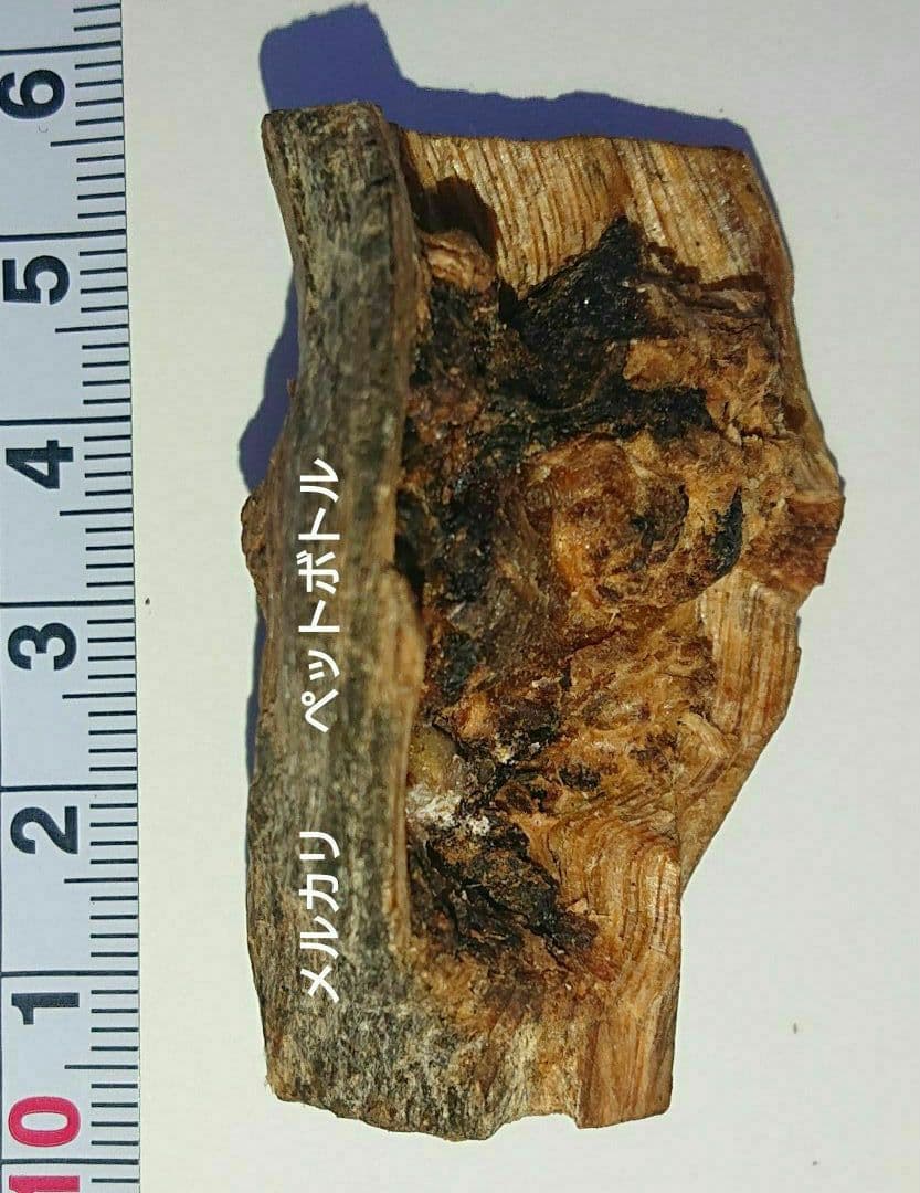 香木 沈香 伽羅 聞香◎品名:ブルー白檀の根っこ15g