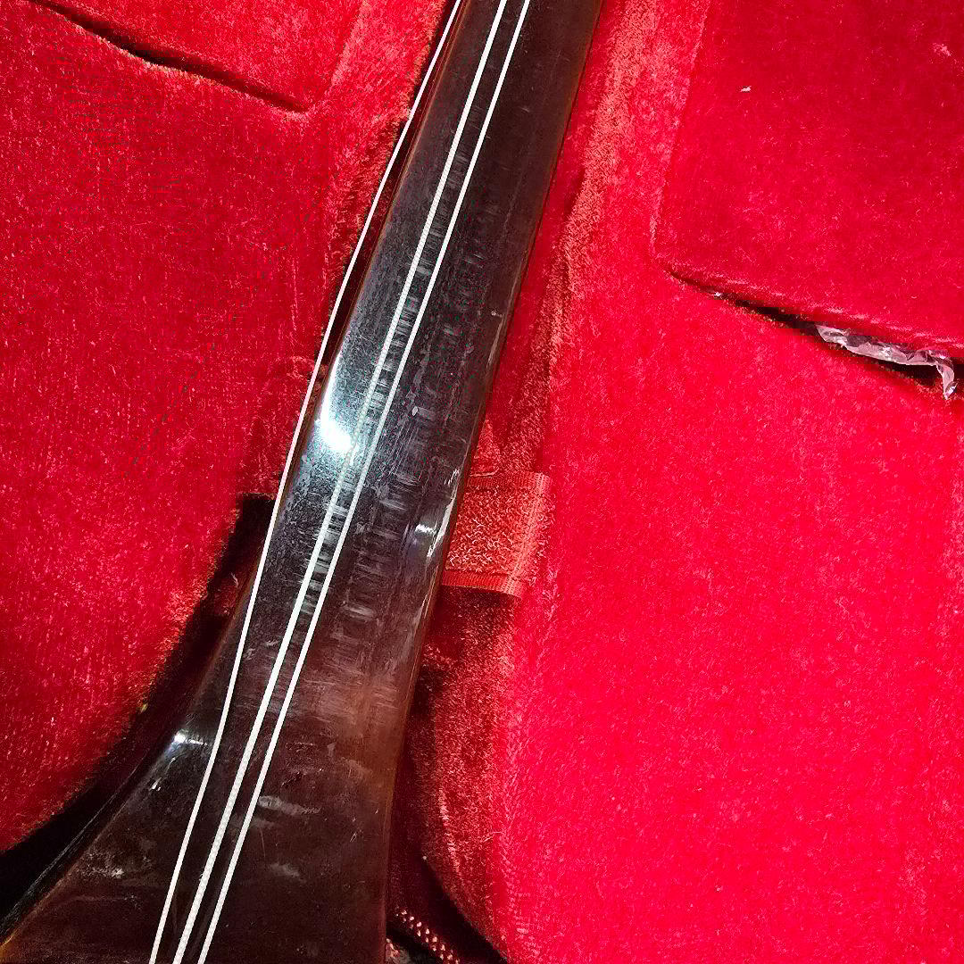 三味線本体 蛇味線 ケース付き