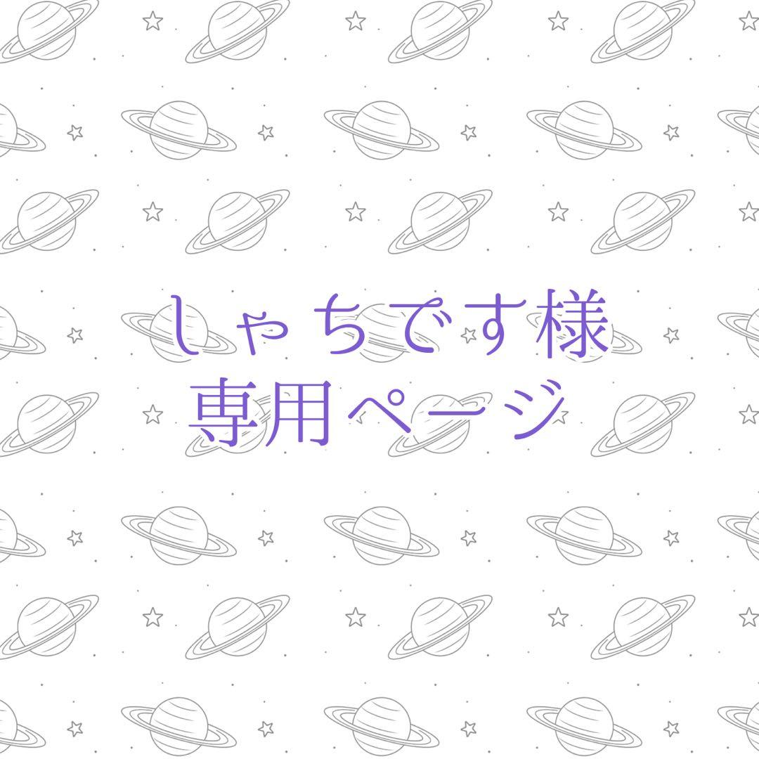 しゃちですページ