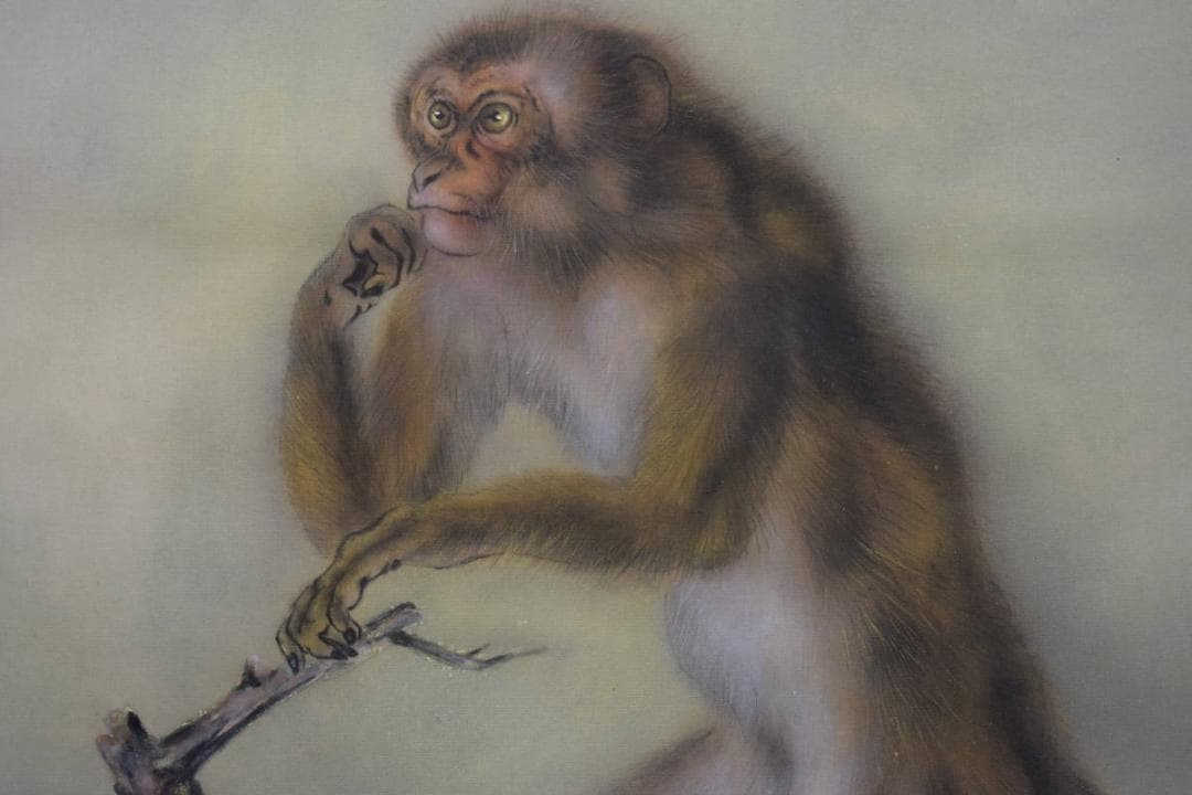 模写/大橋翠石/花木に猿図/桐共箱二重箱付/ 布袋屋掛軸HE-932