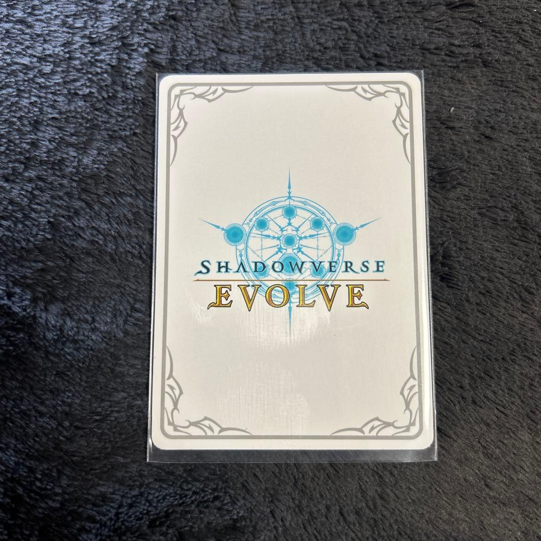 値下げ中‼️分かたれぬ恋・ミルティオ リーダー