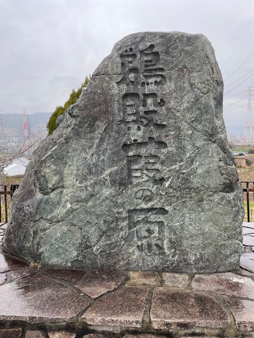 篳篥用蘆舌《極み》